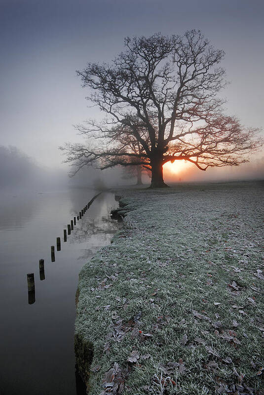 Lake Poster featuring the photograph Fresh New Morning by John Chivers