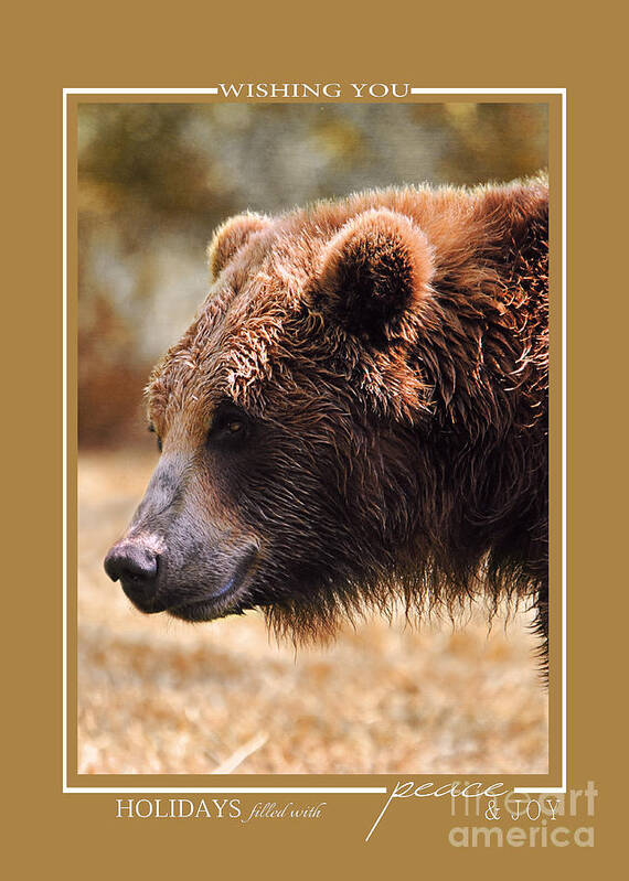 Animal Christmas Cards Poster featuring the photograph Grizzly Bear Wildlife Christmas Cards by Jai Johnson