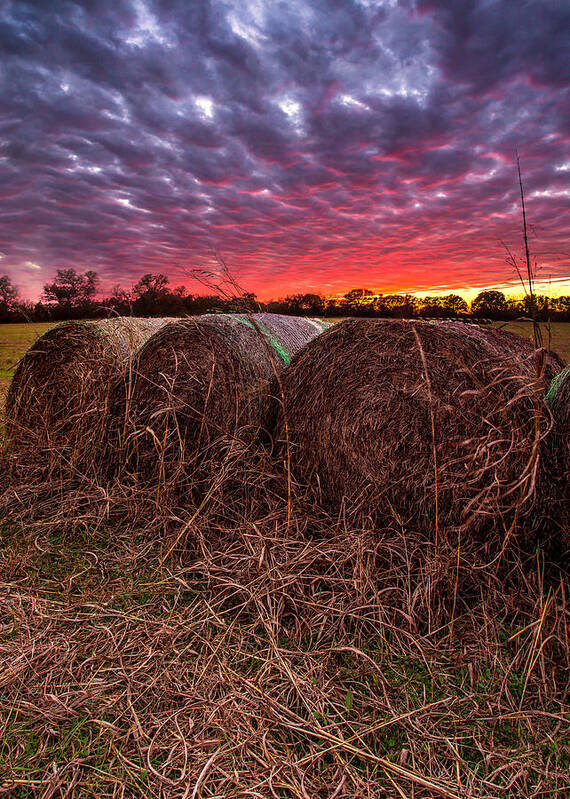 Hay Poster featuring the photograph Hay Bale Sunset by Micah Goff