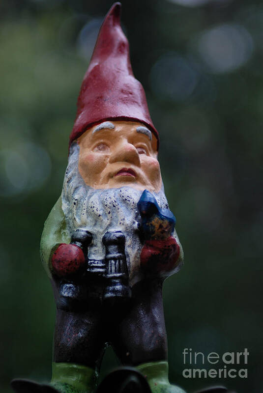 Beard Poster featuring the photograph Portrait of a Garden Gnome by Amy Cicconi
