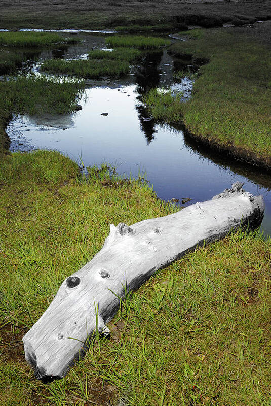 Landscape Poster featuring the photograph Summer Creek by Arthur Fix