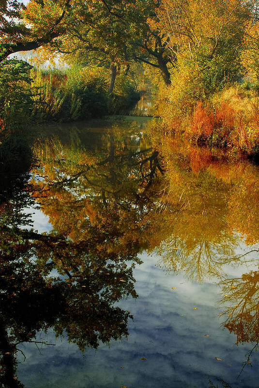 Pano Panoramic Landscape Woodland Scenes Orange The Fall River Stream Colours Autumn Beautiful Gorgeous Dreamy Reflections Reflection Poster featuring the photograph The world below your feet by John Chivers