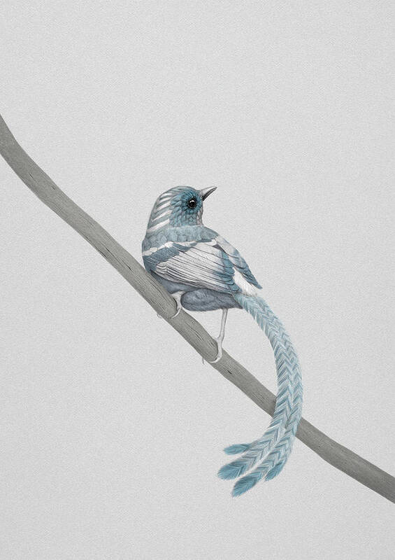Bird Poster featuring the digital art Blue 2 by Diego Fernandez