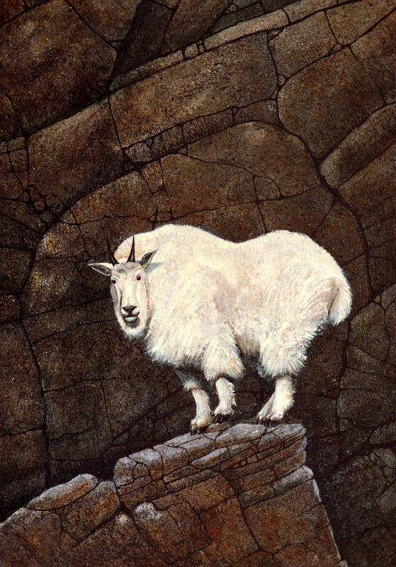 Wildlife Poster featuring the painting Mountain Goat by Frank Wilson