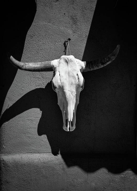 2019 Poster featuring the photograph Cow Skull - black and white by Tim Stanley