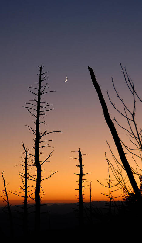 Crescent Moon Poster featuring the photograph Sunset by David Campione