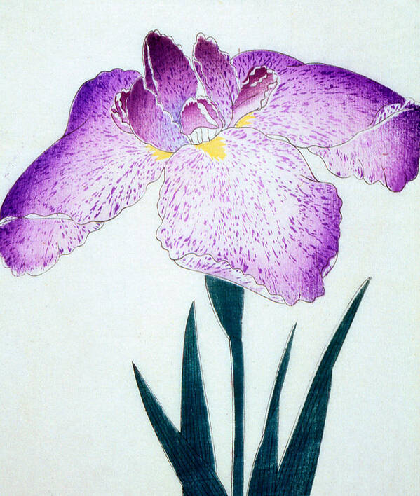 Floral Poster featuring the painting Japanese Flower by Japanese School