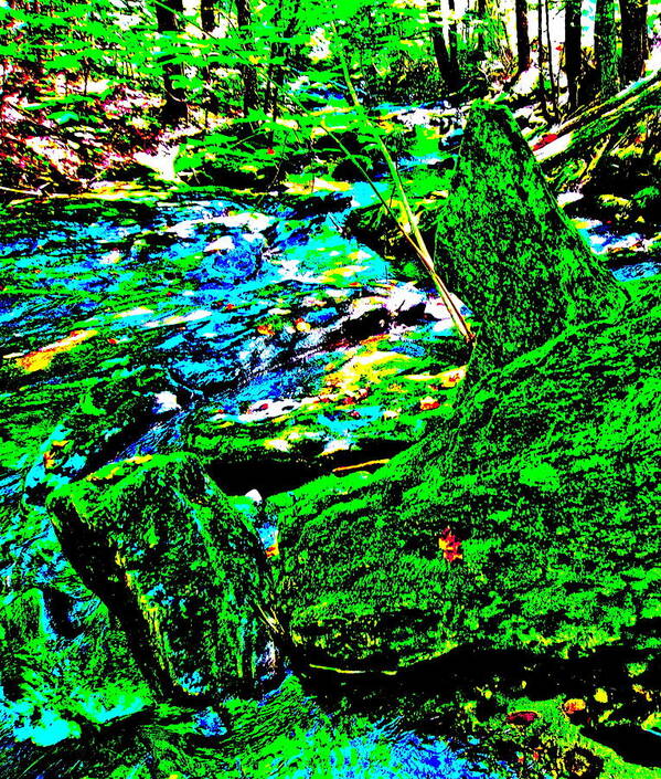 Landscape Poster featuring the photograph Abstract Brook Bits 56 by George Ramos