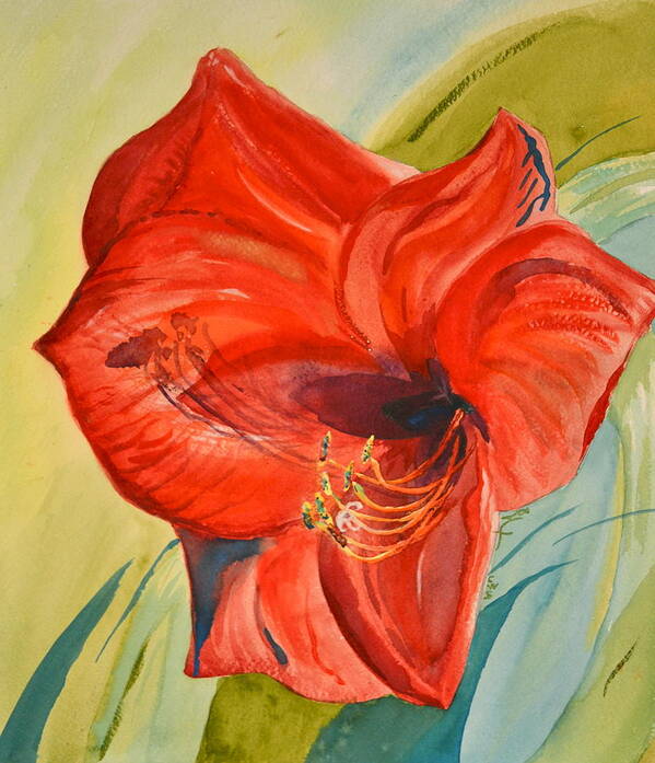 Amaryllis Untimely Poster featuring the painting Amaryllis Untimely by Beverley Harper Tinsley