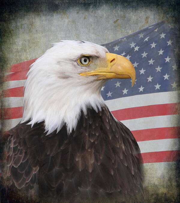 USA FLAG GLOSSY POSTER PICTURE PHOTO united states america patriotic country 93