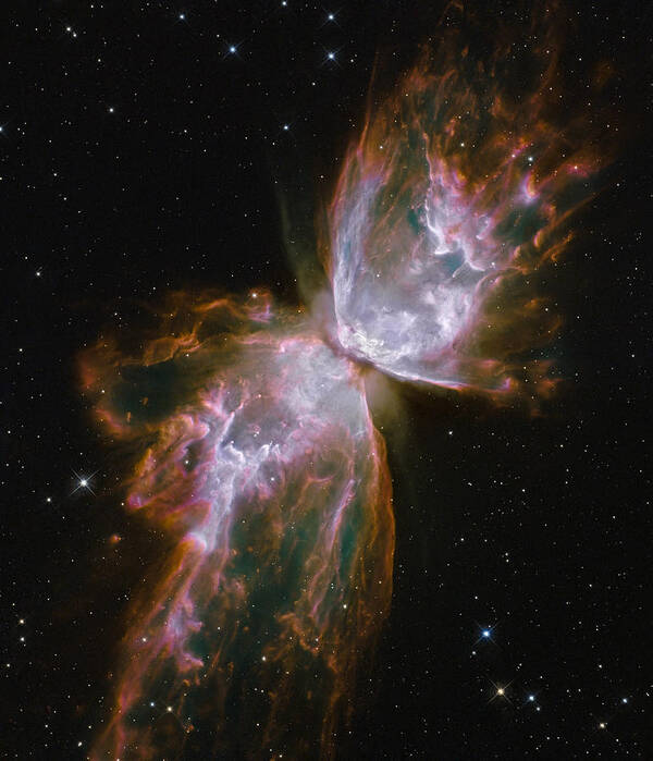 Butterfly Nebula Poster featuring the photograph Butterfly Nebula by Georgia Clare