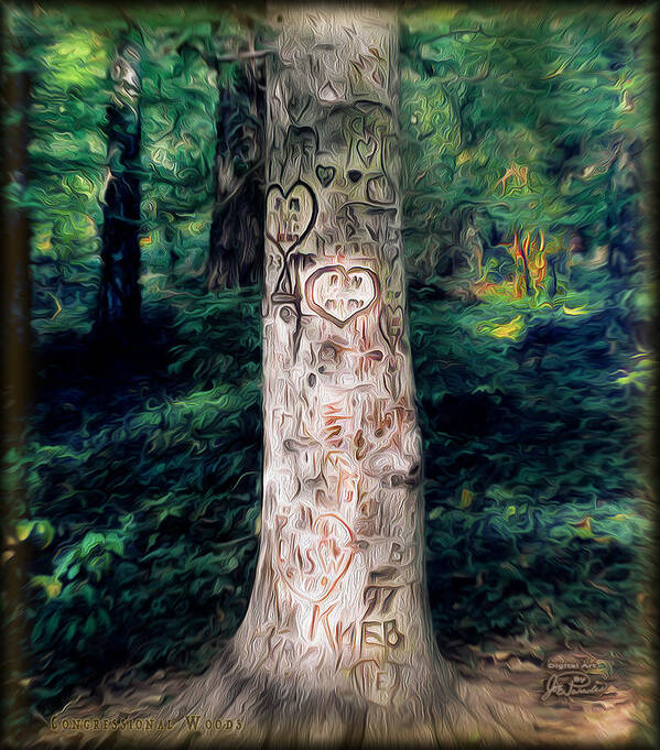 Congress Poster featuring the digital art Congressional Woods by Joe Paradis