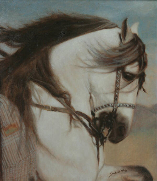 Andalusian Stallion Poster featuring the painting Cordero- Doma Vaquera by Sciandra 