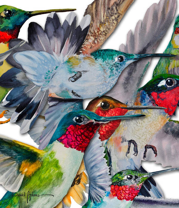 Hummingbirds Poster featuring the painting DA133 Hummingbirds by Daniel Adams by Daniel Adams