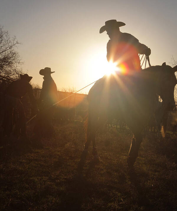 Texas Cowboys Poster featuring the photograph Daybreak by Diane Bohna