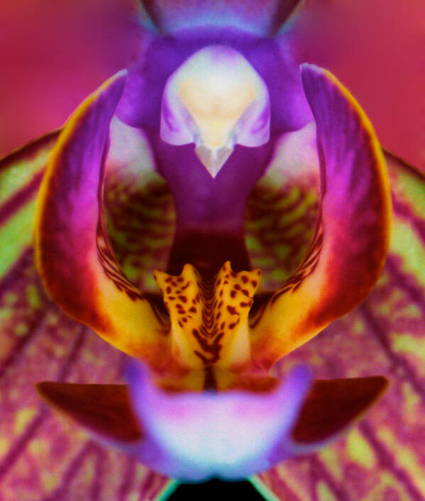 Orchid Flower Poster featuring the photograph Deep Inside The Mouth Of An Orchid by Leslie Crotty