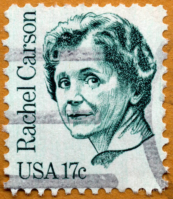 Postage Stamp Poster featuring the photograph Environmentalist Rachel Carson Postage Stamp by Phil Cardamone
