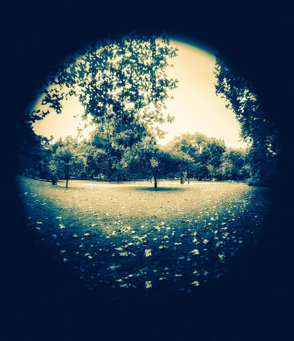 Leaves Poster featuring the photograph Fish eye Park by Lenny Carter