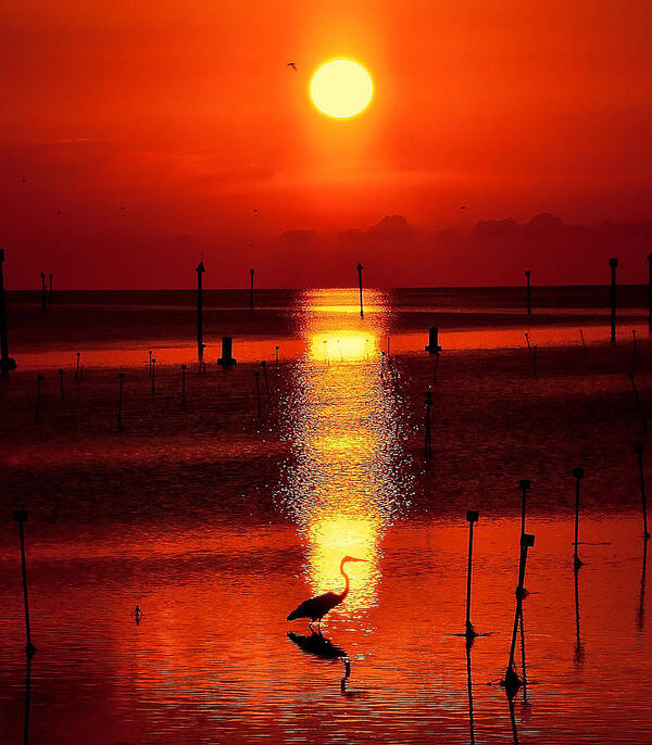 Sunset Poster featuring the photograph Florida Sunset by Stuart Harrison