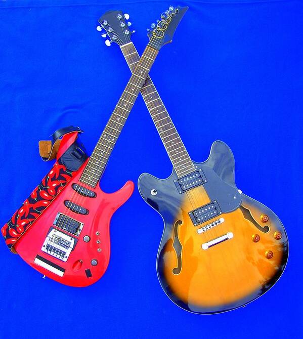 Electric Poster featuring the photograph Double Heaven - Guitars at Rest by Steve Kearns