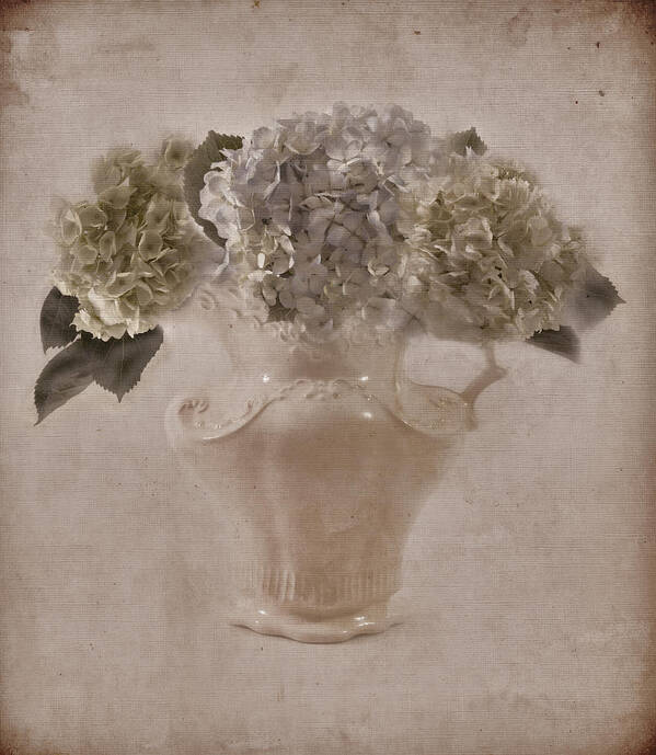 Hydrangeas Still Life Poster featuring the photograph Hydrangeas In Cream Pitcher by Sandra Foster