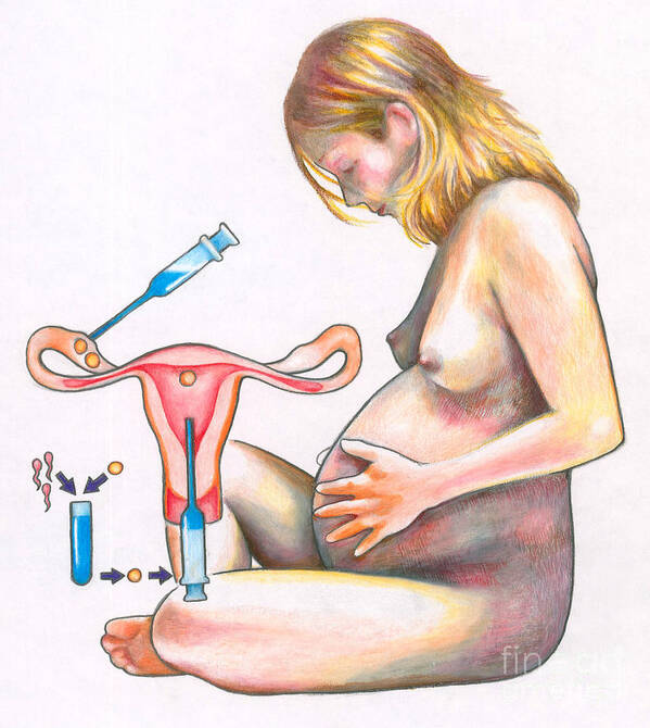 Science Poster featuring the photograph In Vitro Fertilization by Gwen Shockey