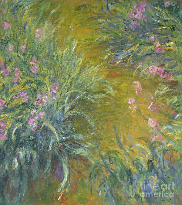 Iris Poster featuring the painting Iris by Claude Monet