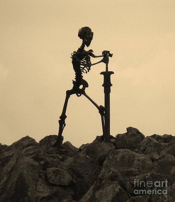 Skeleton Poster featuring the photograph Last Watch by Laura Wong-Rose