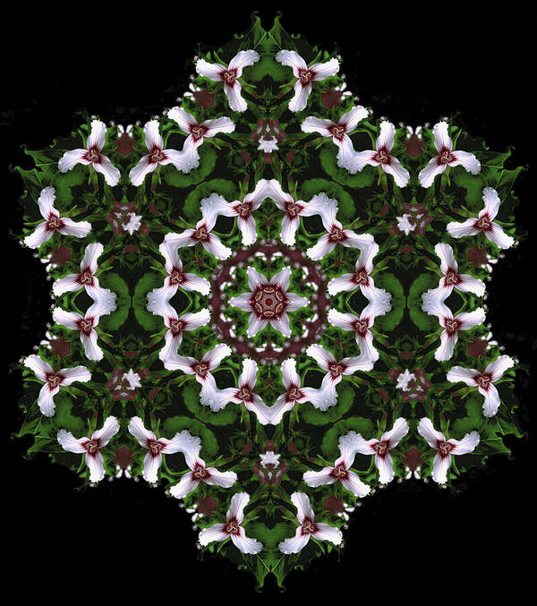 Mandala Poster featuring the digital art Mandala Trillium Holiday by Nancy Griswold