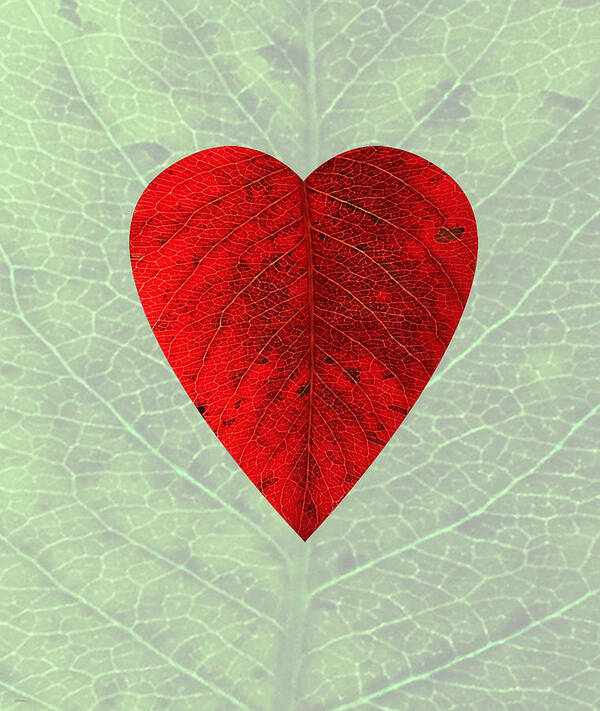 Red Poster featuring the digital art Nature's Heart by Deborah Smith