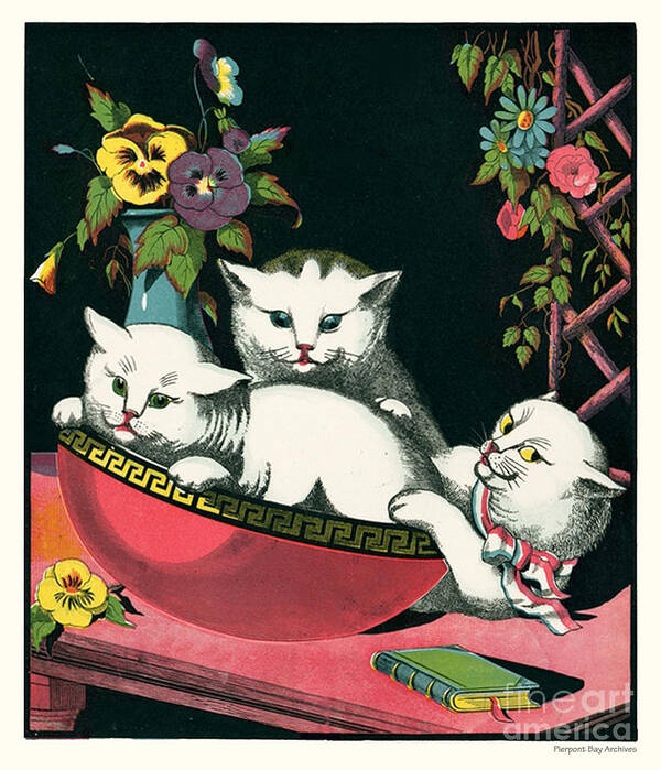 Naughty Cats Play in Antique Pink Bowl with Book and Sweet Williams Flowers  Poster by Pierpont Bay Archives - Fine Art America