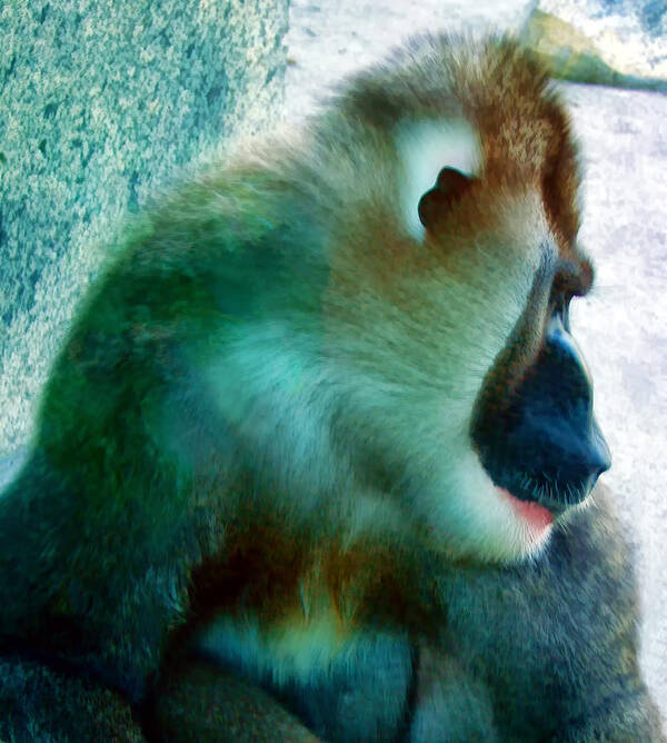 Primate Poster featuring the photograph Primate 1 by Dawn Eshelman