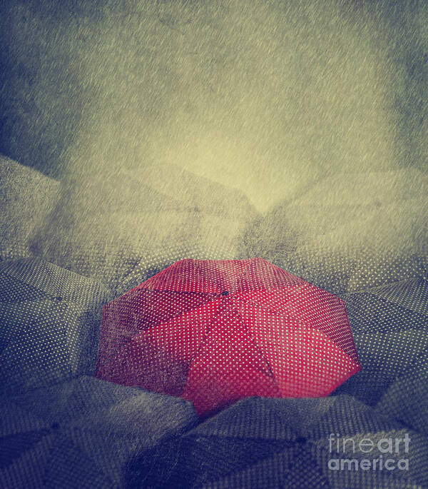 Umbrella Poster featuring the digital art Red Umbrella by Jelena Jovanovic
