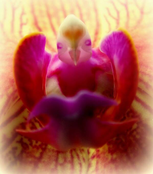 Inside An Orchid Poster featuring the photograph SECRET of the ORCHIDS by Karen Wiles