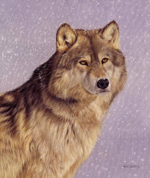 Wolf Poster featuring the painting Snow Wolf by David Stribbling