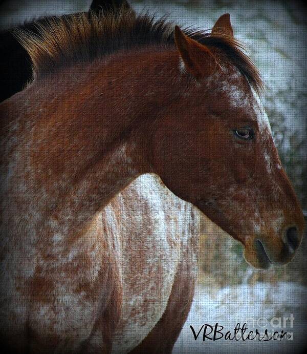 Horses Poster featuring the photograph Textures on Paint by Veronica Batterson
