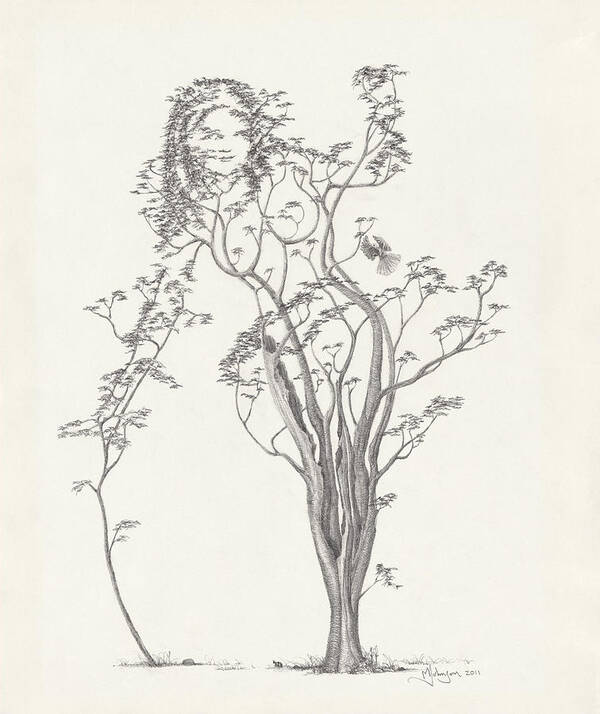 Tree Dancer Poster featuring the drawing The Small Singer by Mark Johnson