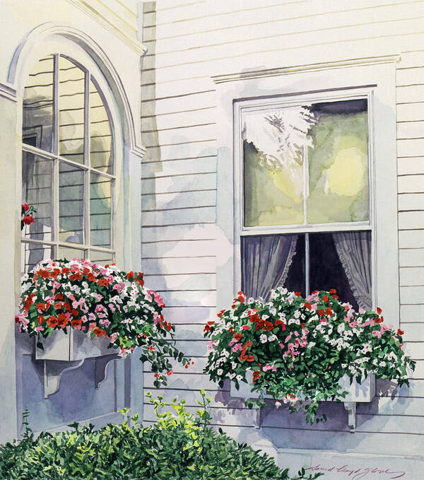 Watercolor Poster featuring the painting Window Boxes by David Lloyd Glover