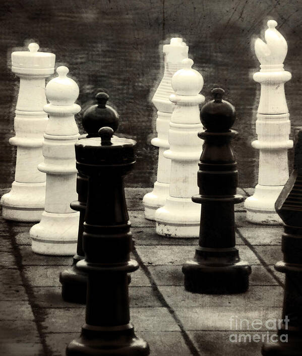 Chess Poster featuring the photograph Your Move by Colleen Kammerer
