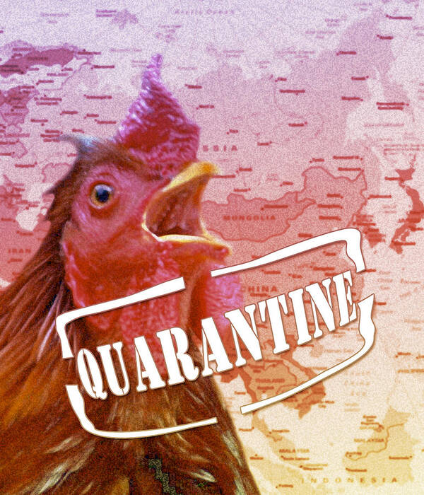 Avian Flu Poster featuring the photograph Avian Flu Containment, Conceptual Art by Victor Habbick Visions