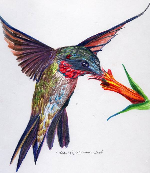 Humming Bird Poster featuring the drawing Sweet Nectar by Mindy Newman
