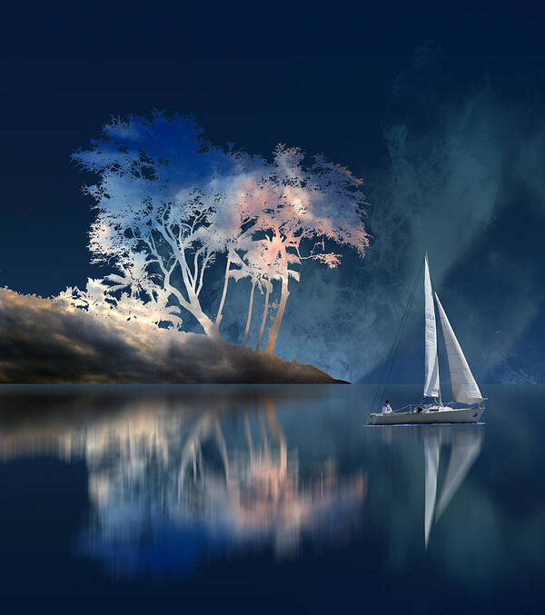 Trees Poster featuring the photograph 4169 by Peter Holme III