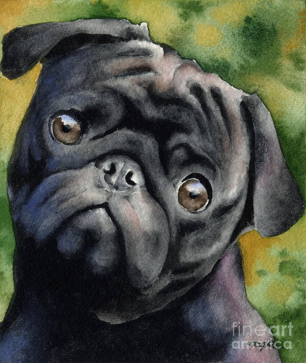 Black Poster featuring the painting Black Pug by David Rogers
