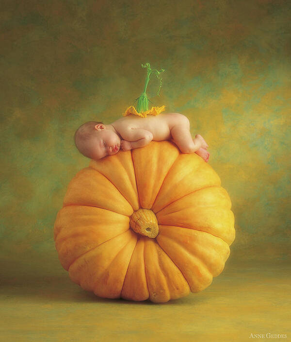 Fall Poster featuring the photograph Country Pumpkin by Anne Geddes