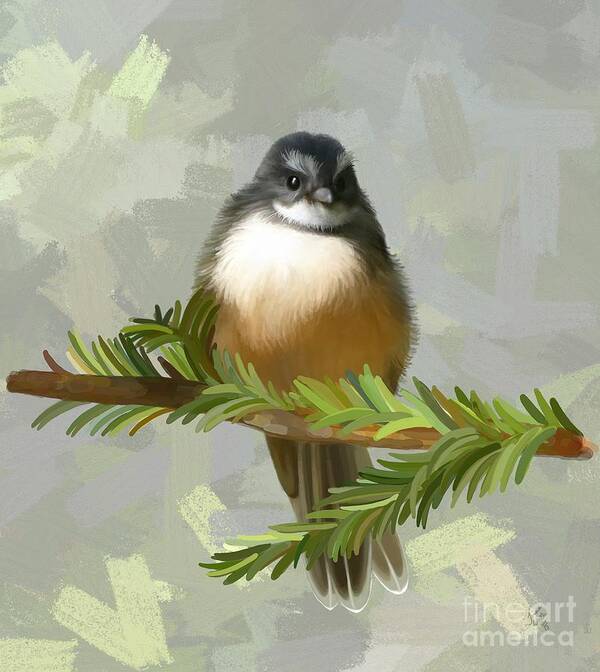 Bird Poster featuring the painting Fantail by Ivana Westin