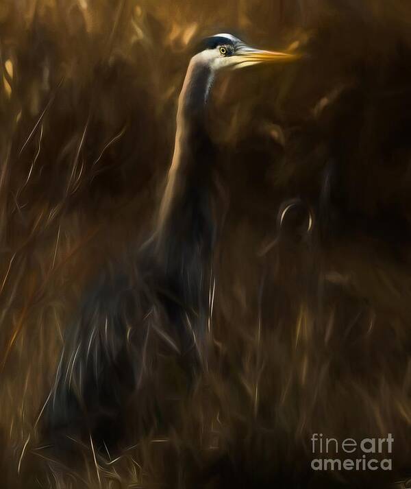Animal Poster featuring the mixed media Great Blue Heron by Sal Ahmed