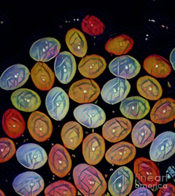 Eggs Poster featuring the digital art Happy Eggs by Jackie MacNair