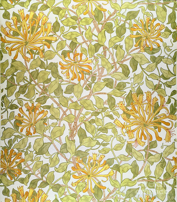 Arts And Crafts Movement; Floral; Pattern Poster featuring the painting Honeysuckle design by William Morris