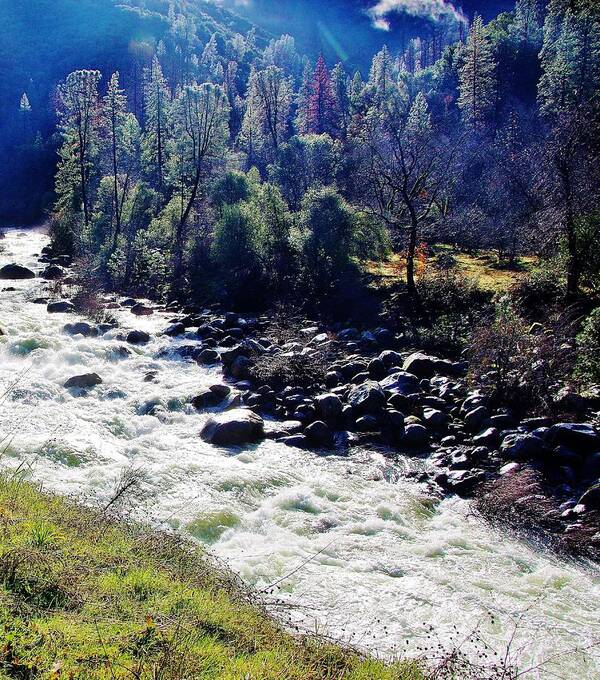 Merced River Poster featuring the photograph Merced River Ca C by Phyllis Spoor