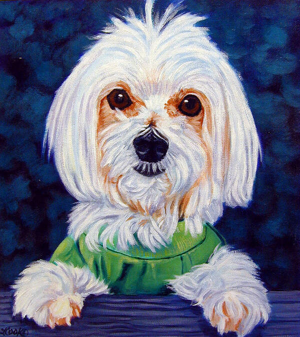 Maltese Dog Poster featuring the painting My sweater - Maltese Dog by Lyn Cook